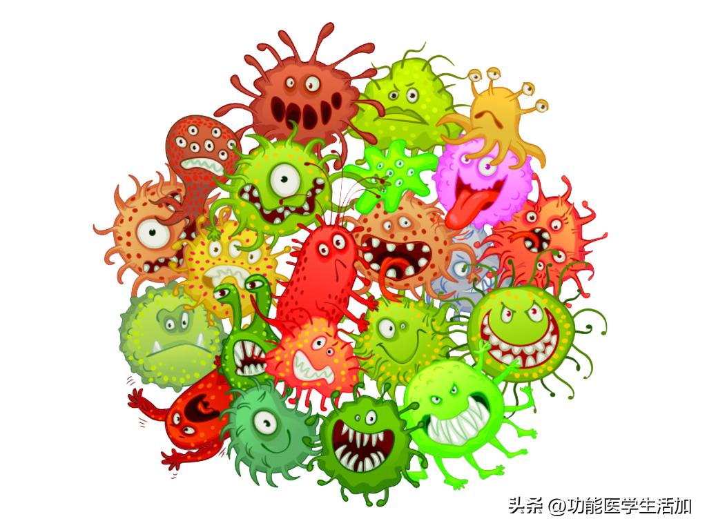 一文读懂念珠菌过度生长