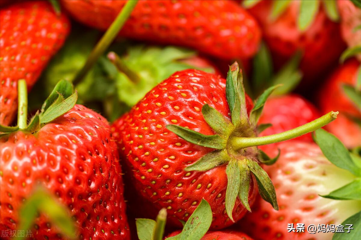 宝宝第一次吃苹果吃什么苹果好,宝宝吃什么苹果营养好