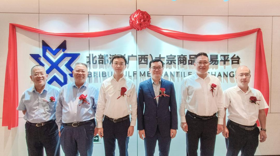 广西钦州市钦州港最新项目,钦州港片区最新项目