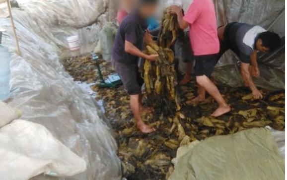 郑州白象方便面厂工作真实感受,为什么说白象方便面良心商家