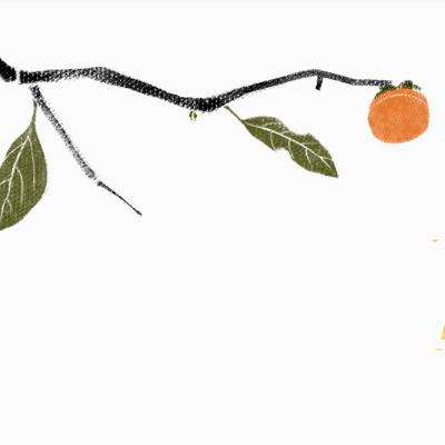 自制水果酵素能补充维生素吗,自制提高免疫力的水果酵素