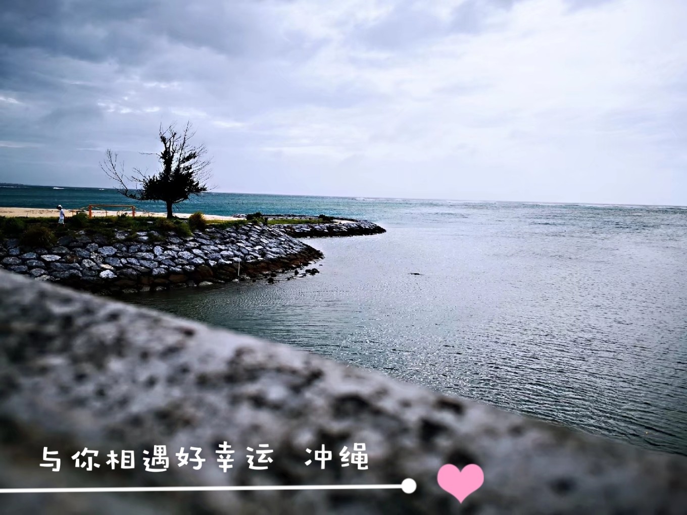 暑期档2019年,2019年暑期档