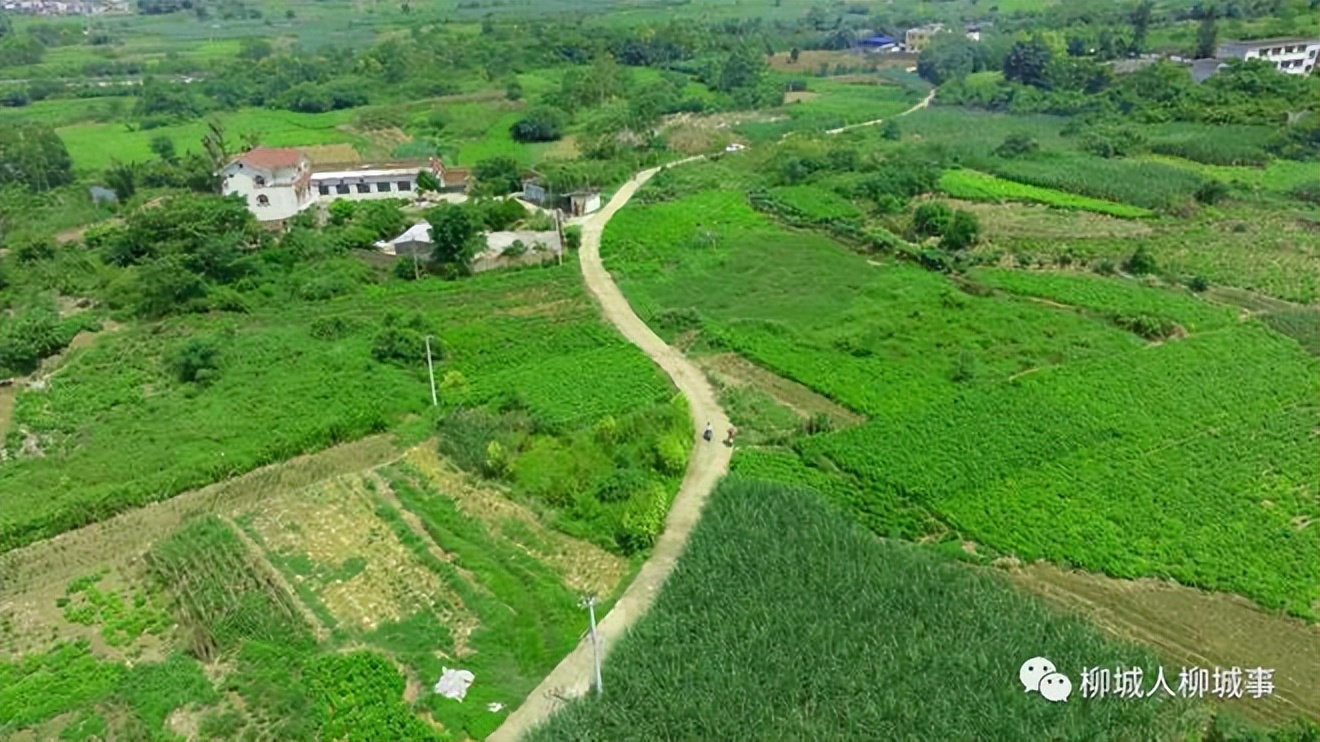 初瑞雪帮助残疾人创业,初瑞雪谈健康
