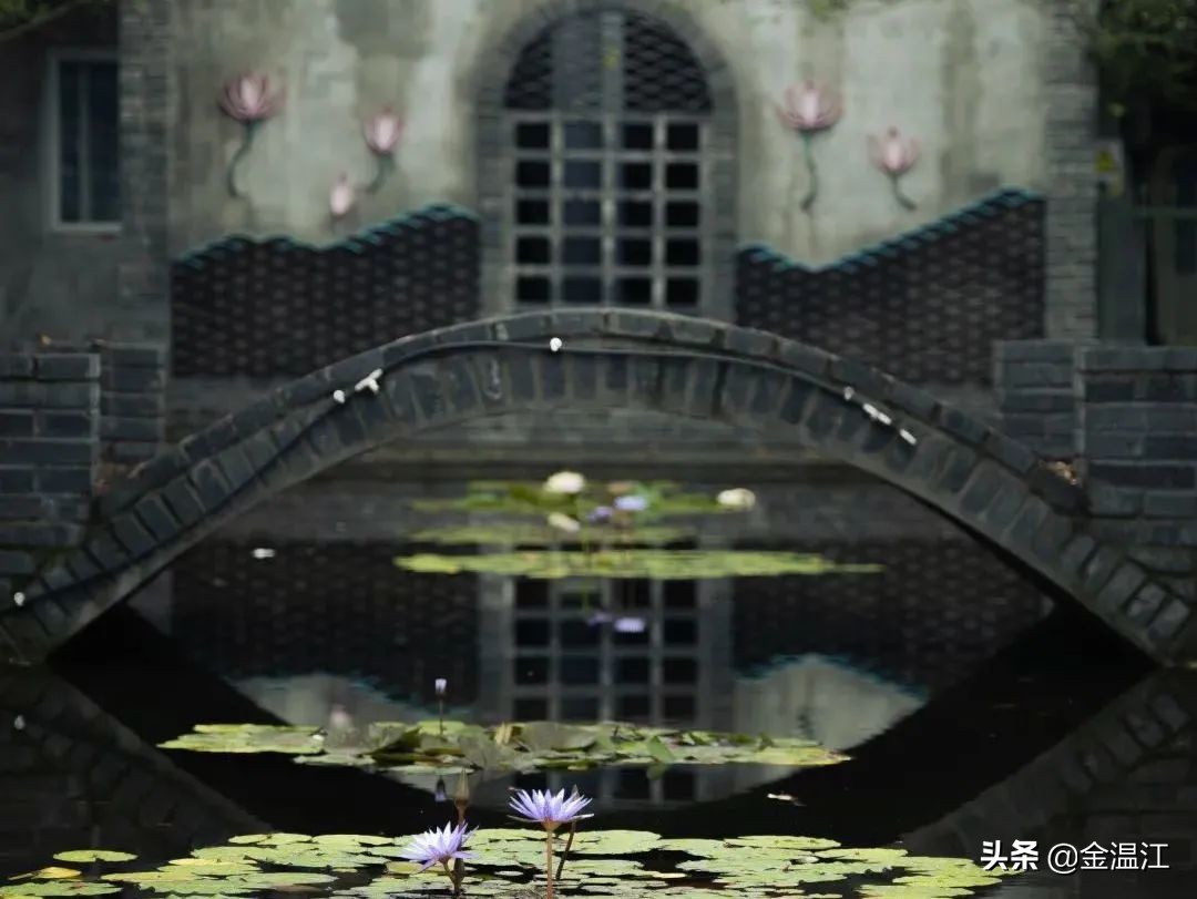 藏不住了！《梦华录》同款宋韵美学，就在温江这些地方→