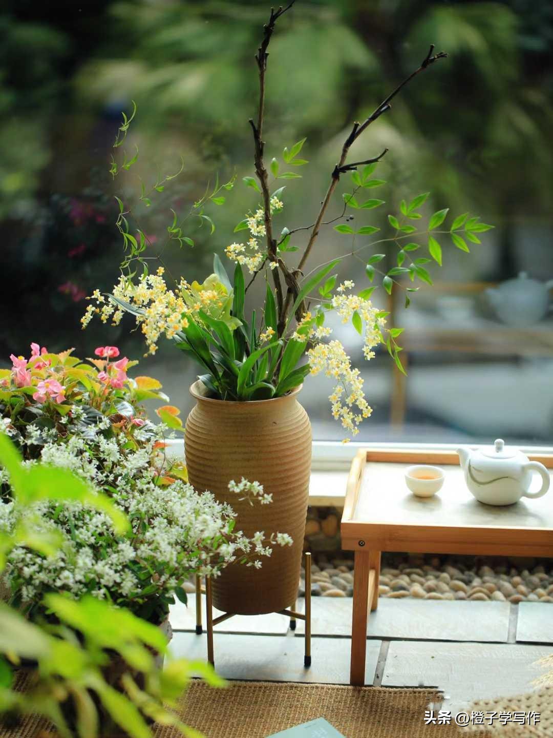 养生方面学哪些最赚钱,养生最赚钱的项目是什么