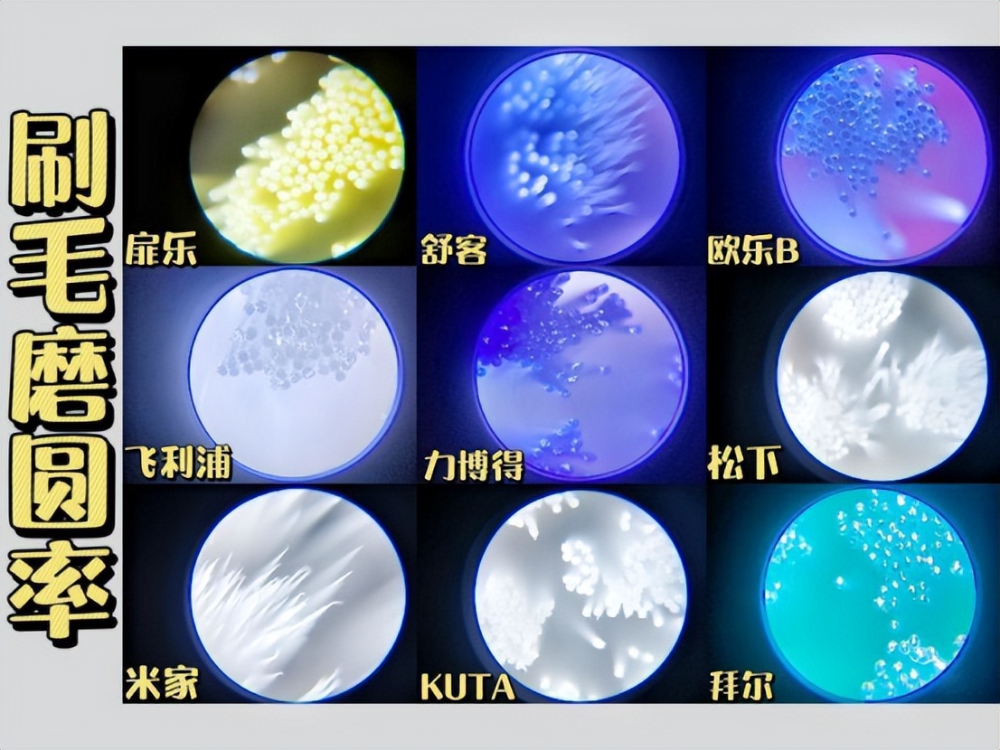 飞利浦儿童电动牙刷平替刷头测评,飞利浦三款儿童电动牙刷对比