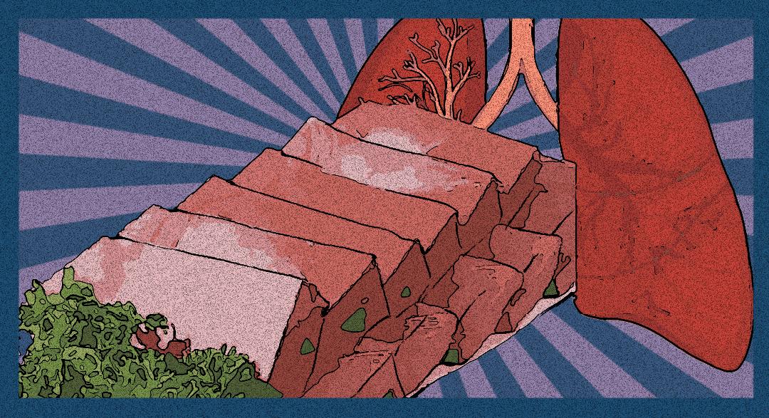 腐乳致癌谣言,鸭血猪血致癌吗