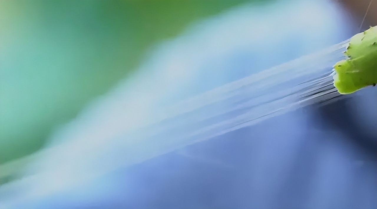 世界上最贵的泥巴比金子还贵,世界上最贵的泥巴制作