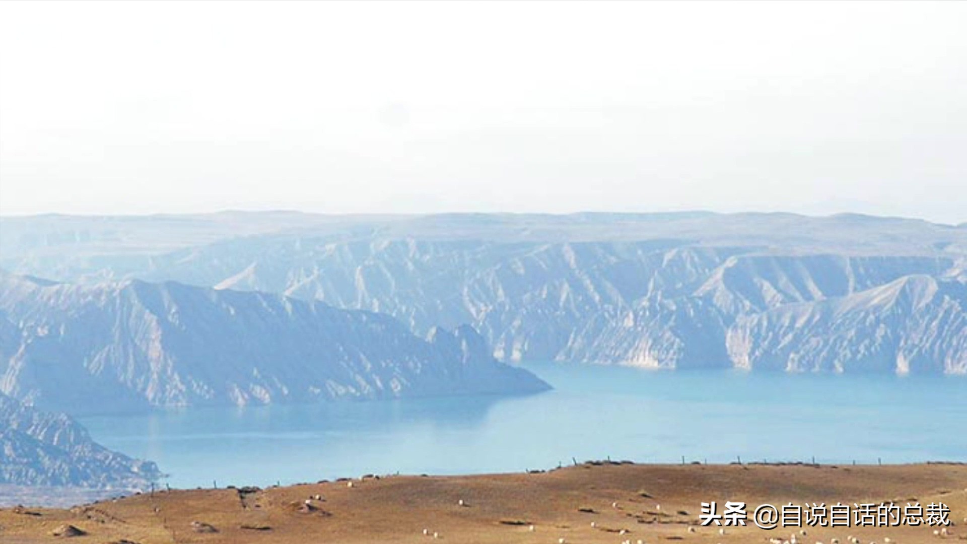 三文鱼水光真假分辨,哪种才是真正的三文鱼