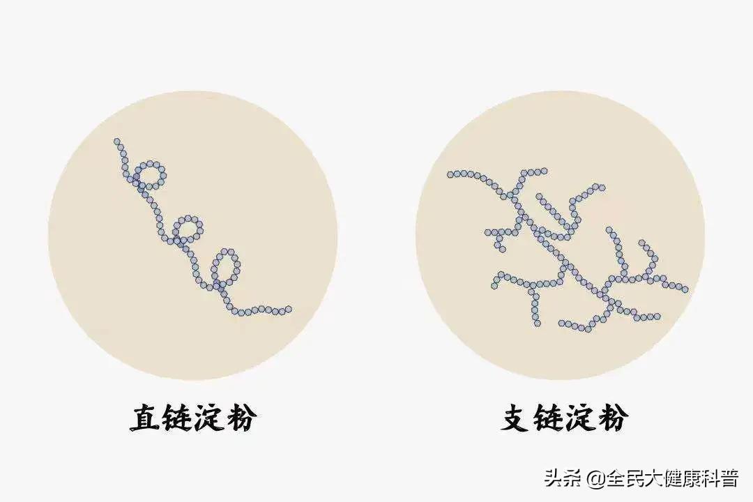 女人最容易长胖的食物,哪些食物吃了容易长胖