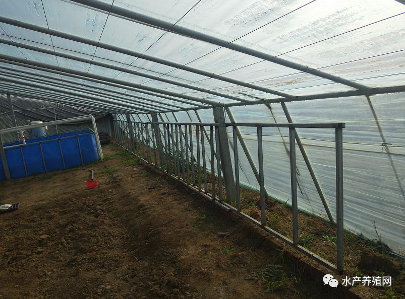 高密度帆布池养殖的风险,帆布池养殖风险分析