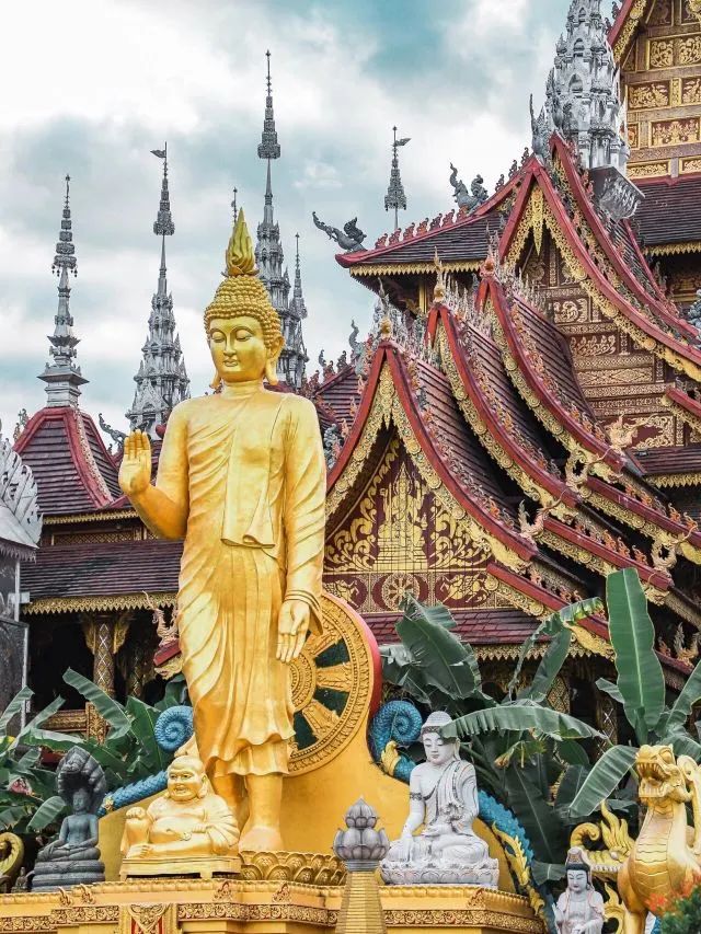 西双版纳七天六夜攻略,西双版纳五天六夜之旅完美结束