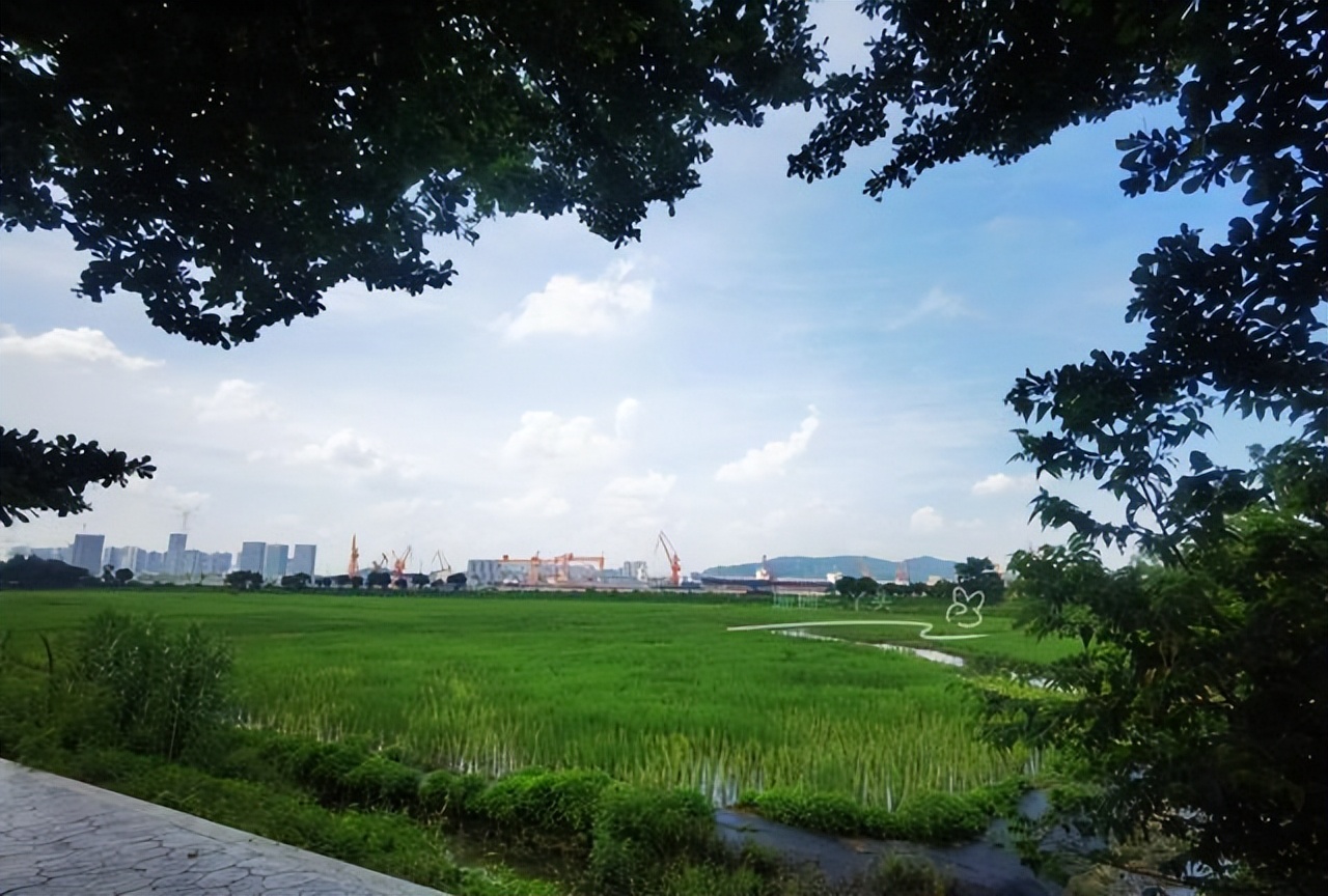 广州轮渡旅游攻略大全,广州旅游攻略必去的10个岛