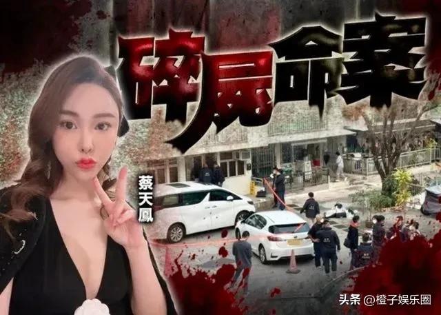 香港名媛被分尸后续,香港名媛分尸案
