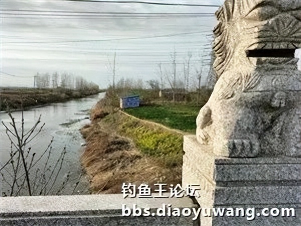 用饵料钓小河边的鱼,用钓鱼王饵料能钓到什么鱼