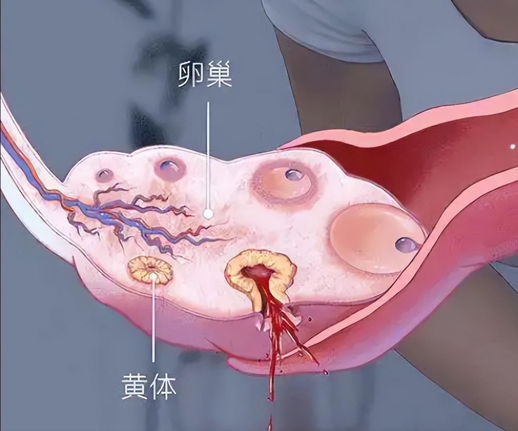 姨妈过后外阴疼是怎么回事,女士下身隐隐疼怎么回事