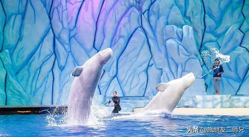 去珠海长隆海洋王国攻略三天两夜,珠海长隆海洋王国3天旅游攻略