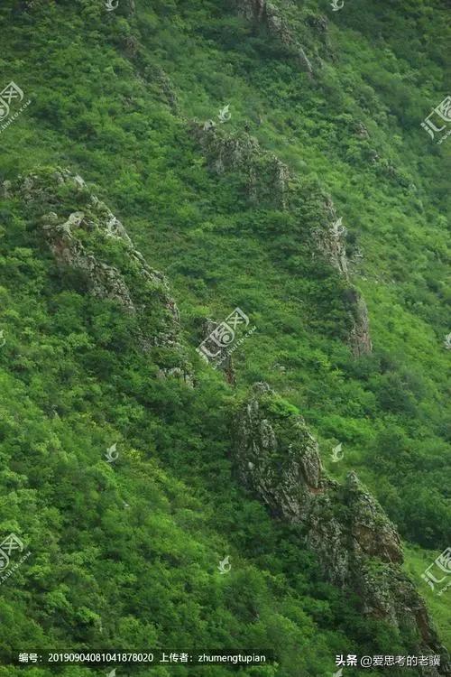 春天的绿色,春天的绿色风景