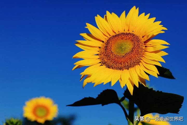南沙十九涌一日游最佳路线图,广州南沙一日游最佳景点路线推荐