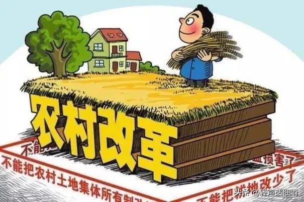 农村三农自媒体扶持政策趋势,农村成立公司有没有政策扶持