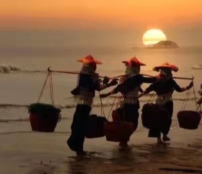 梦里多少花落无人知,梦里不曾落花