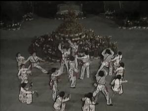 广东有百分之几人看春晚,广东人看春晚的多不多