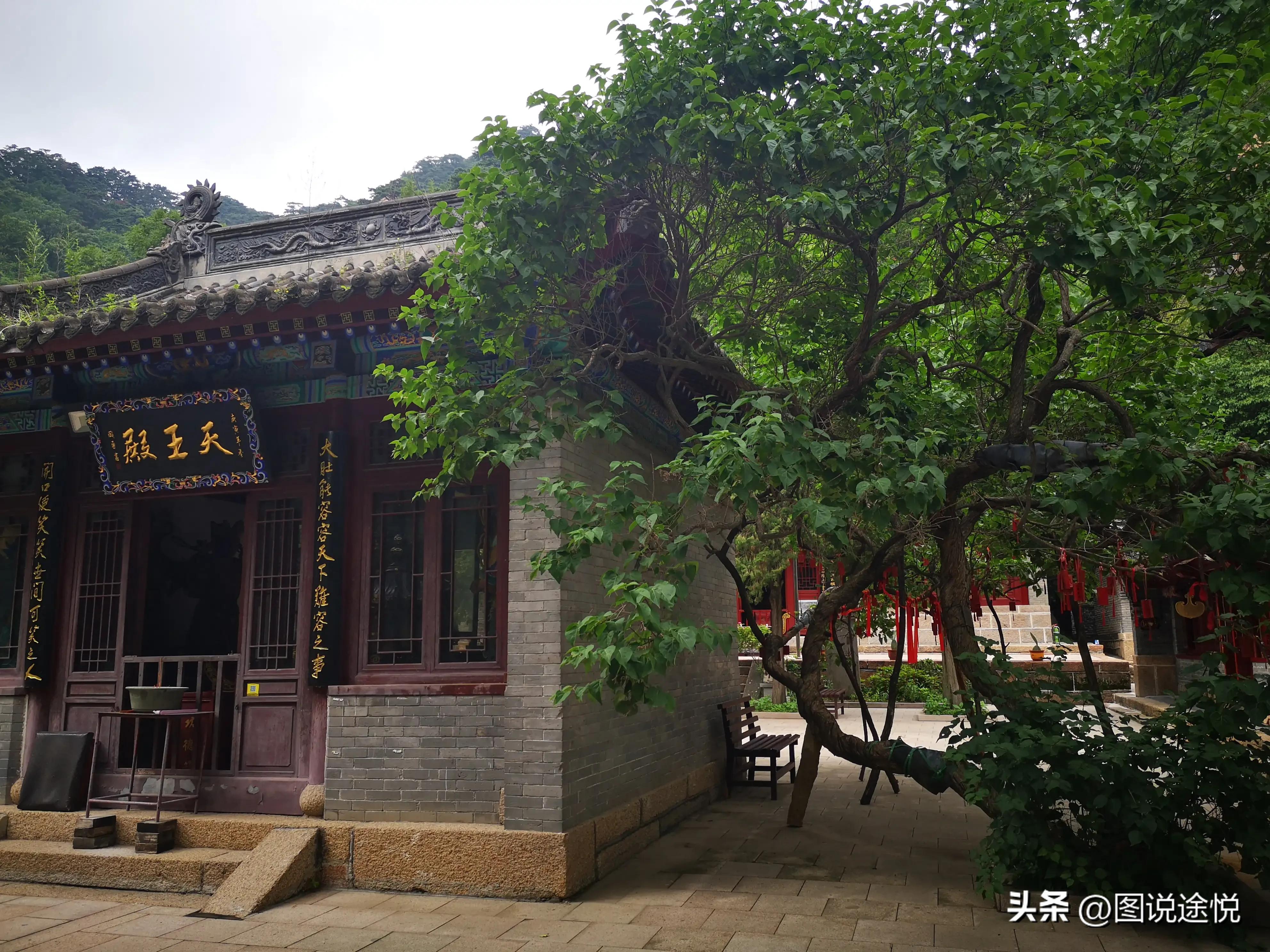 康熙时期皇家寺院,康熙王朝康熙得了天花片段