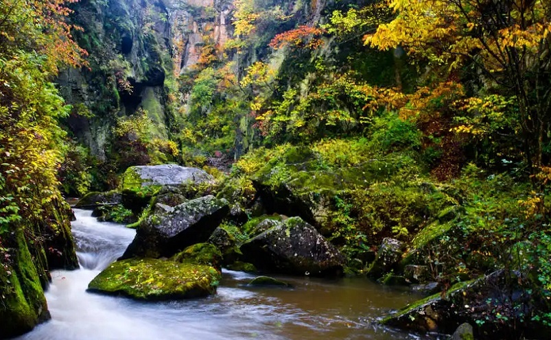黑龙江景点小众,黑龙江冷门景点