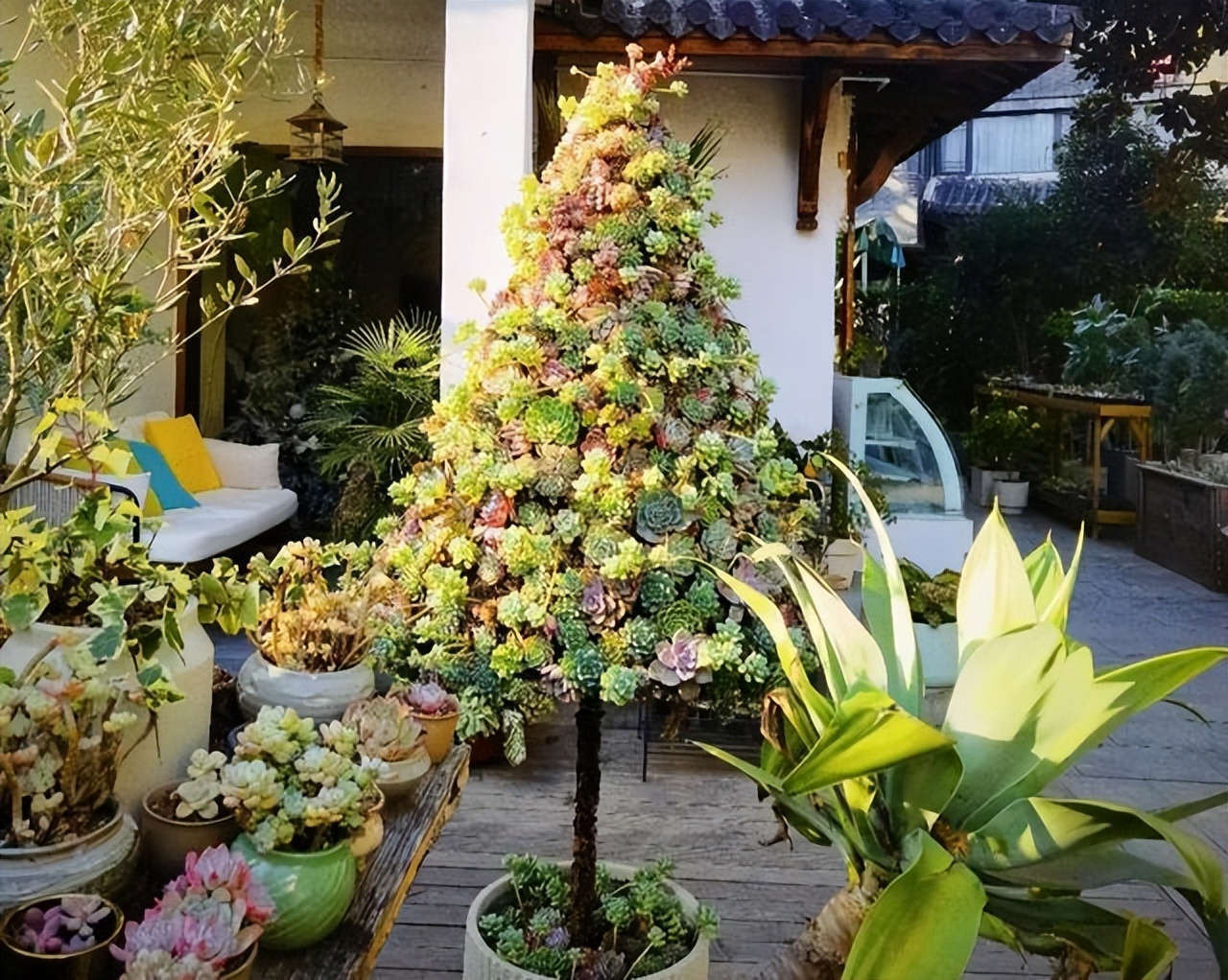 粘土多肉圣诞树简单版,多肉圣诞树