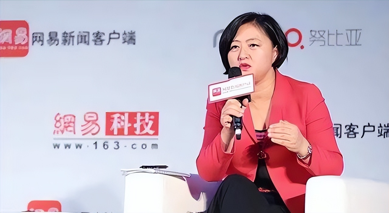 刘强东丁磊谁最有钱,丁磊刘强东谁厉害