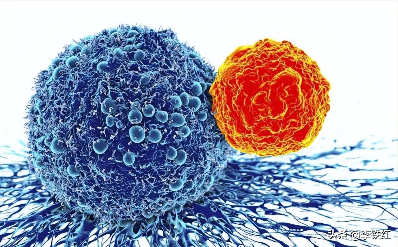 gp96治疗肿瘤,gp96预防癌症效果