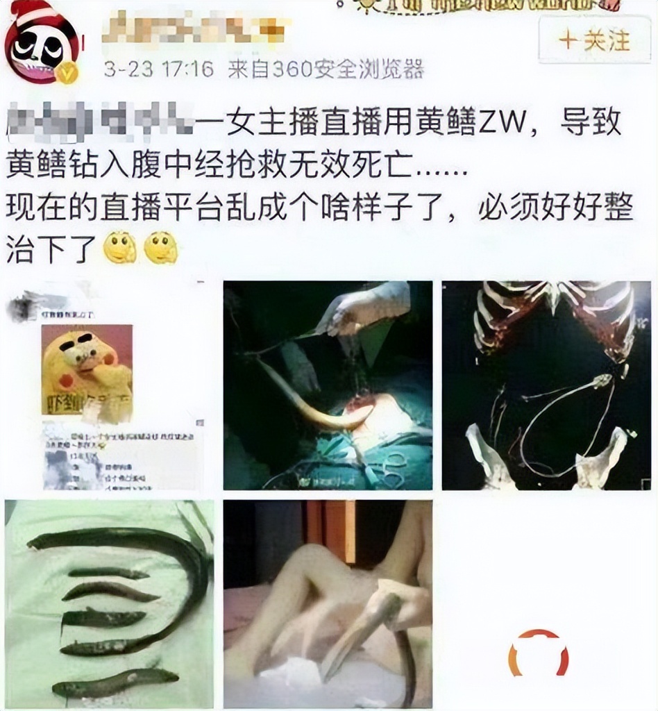 警方查获网上淫秽直播案,黄鳝案曝光主播