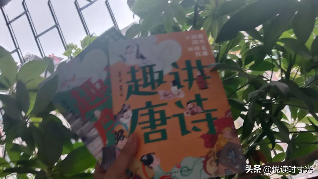 解读最美唐诗宋词,唐诗宋词经典推荐及阅读心得