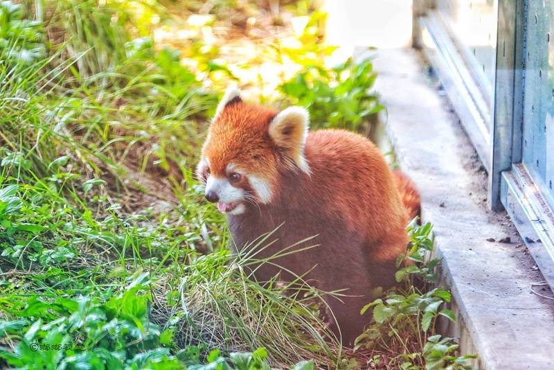 清明小长假玩转西安楼观生态文化旅游度假区旅游攻略