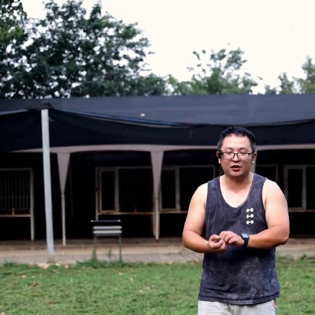 秋田犬和别的狗好相处吗,秋田犬怎么控制不和其他狗打架