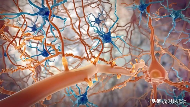 解密大脑的奥秘,深度解析大脑思维