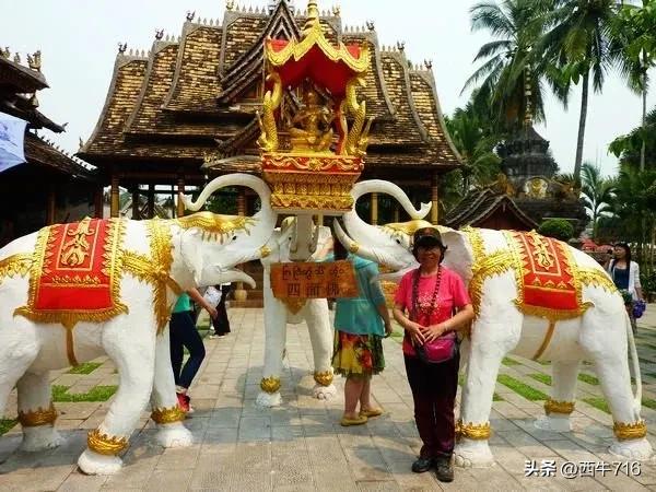 西双版纳泼水节旅行日记,西双版纳傣族园泼水详细攻略