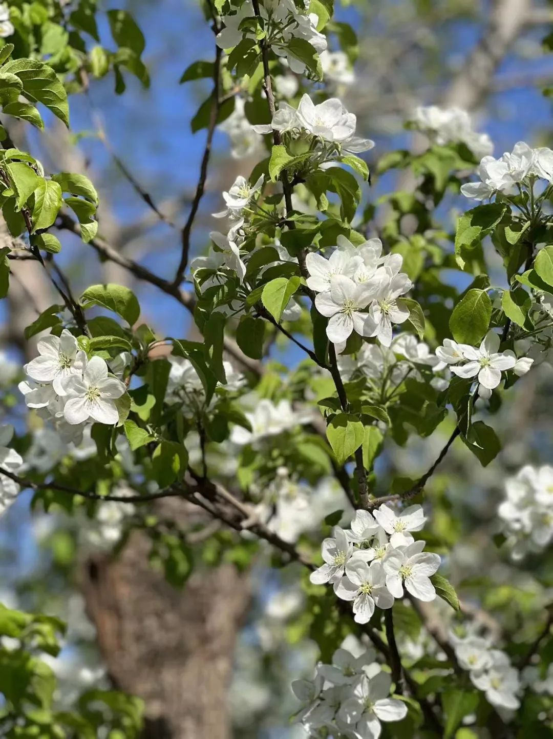 人在无氧状态下存活时间,人在上海静止30天