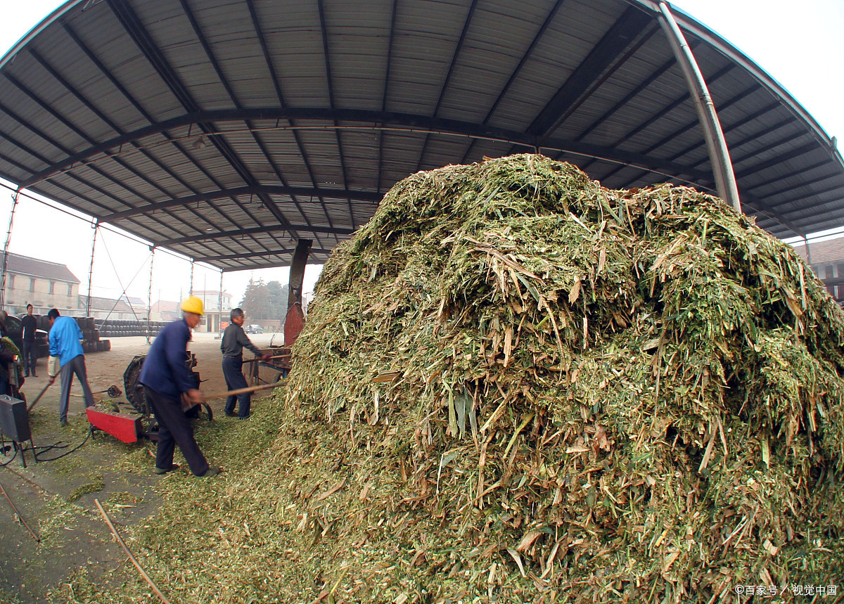 农村造木炭前景如何,农村最赚钱的行业烧木炭