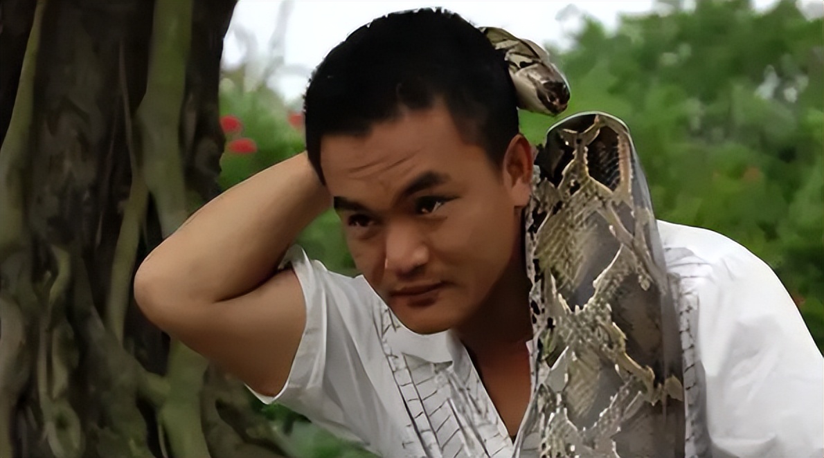 海南报恩巨蟒现况,巨蟒为报恩守护十几年