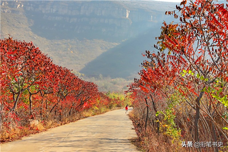包森将军灭掉的骑兵联队,包森全歼关东军