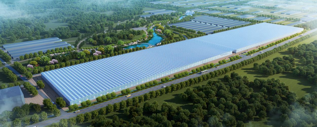 以打造现代化农业示范园区为引领,科技引领打造乡村振兴示范区