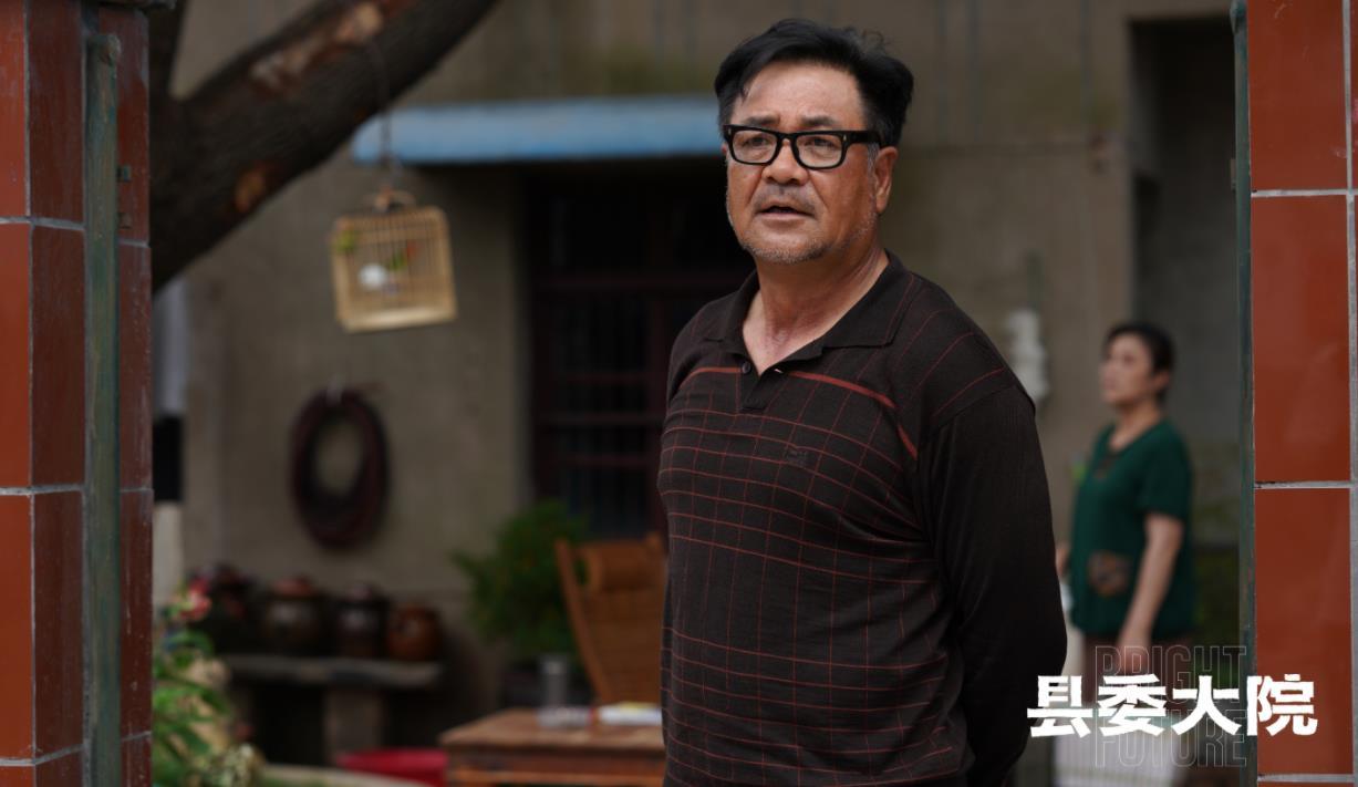 县委大院电视剧央视直播,央视县委大院最新预告