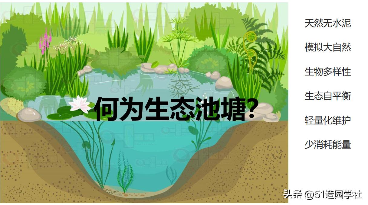 在自家院子造一个超级大的鱼塘,夫妻建造庭院鱼池小溪