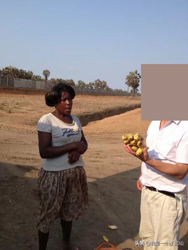 黑人女人在我们公司门口卖百香果（我在非洲安哥拉的日子302）