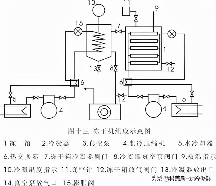 真空冷冻干燥操作步骤,冷冻真空干燥脱水设备