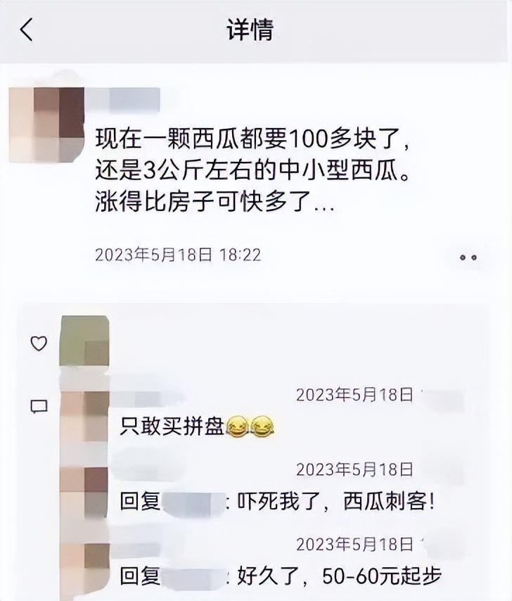 西瓜刺客41,西瓜刺客多少钱