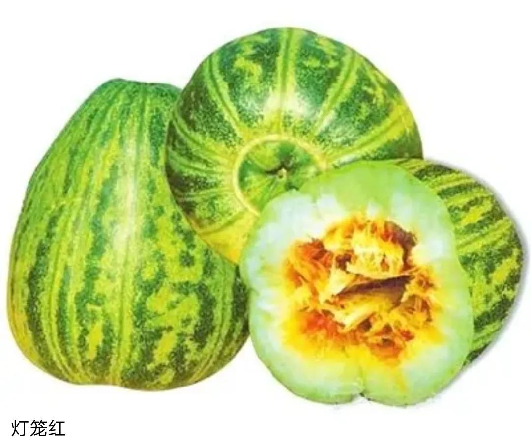 垂涎欲滴的瓜世界：瓜田李下说吃瓜，一片冰心香满园