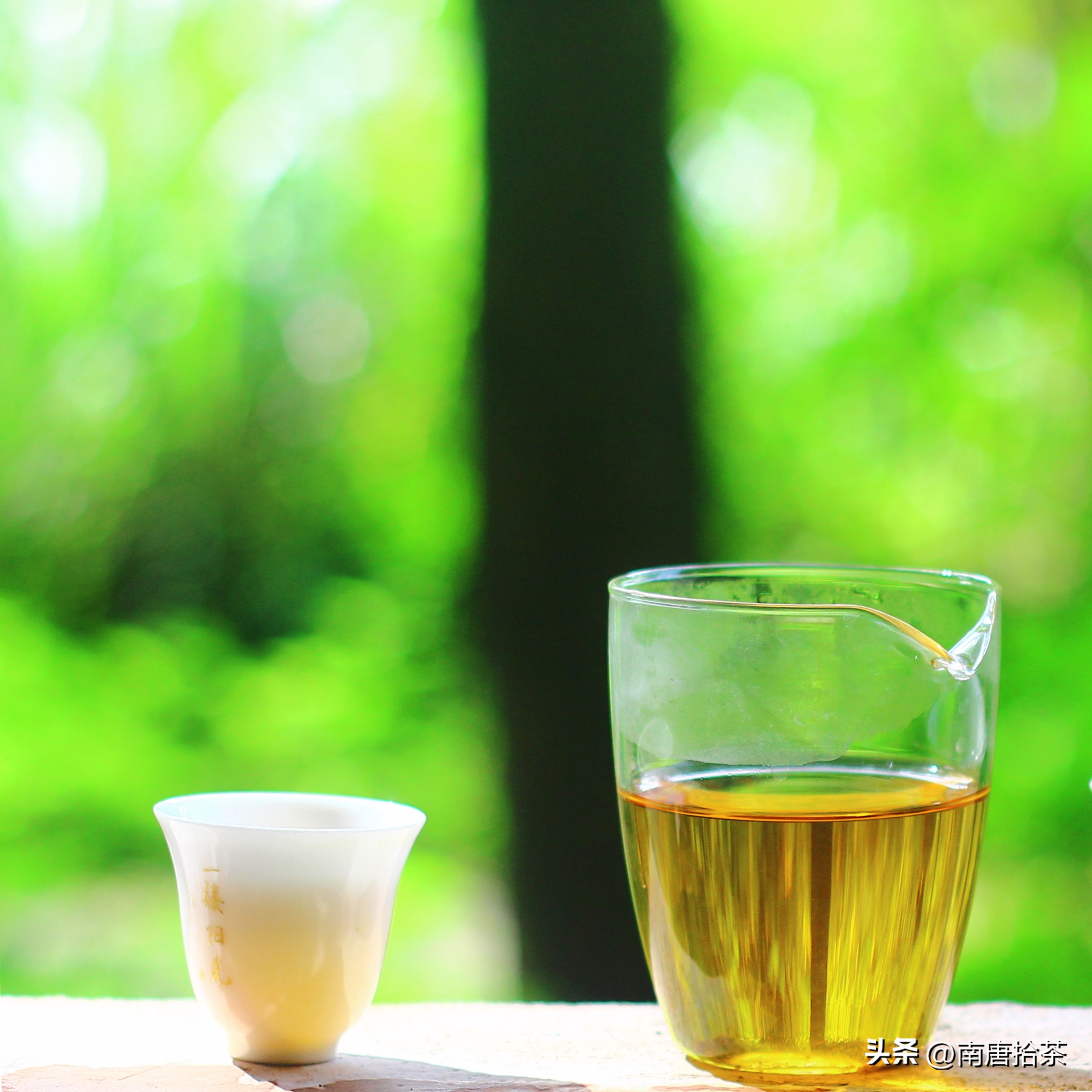 武夷山大红袍正宗茶有多少钱一斤,武夷山大红袍母树多少钱一斤