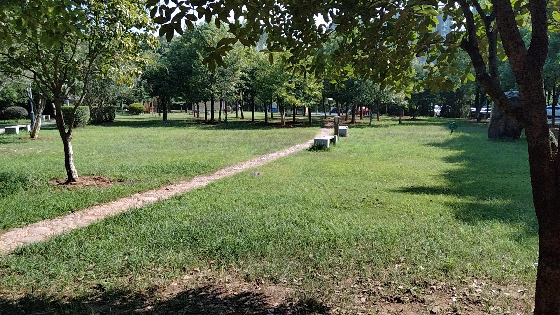 平湖明湖公园攻略,平湖公园免费景点